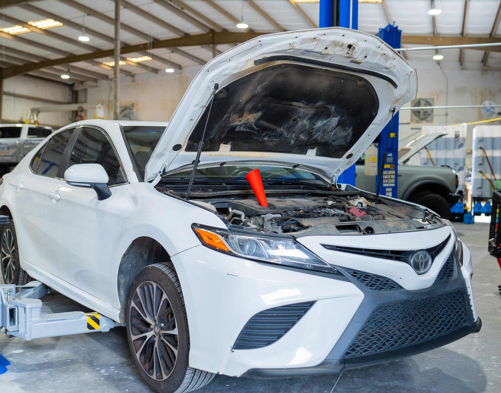 DSC00595 e1760567443978